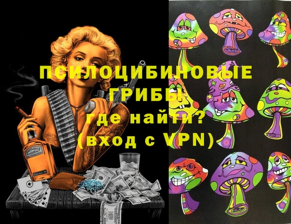 стаф Каменка