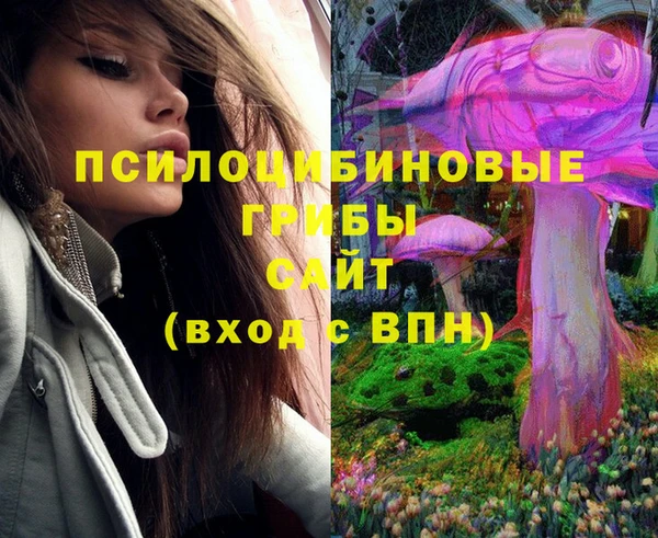 спиды Инсар
