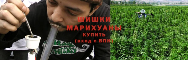 спиды Инсар