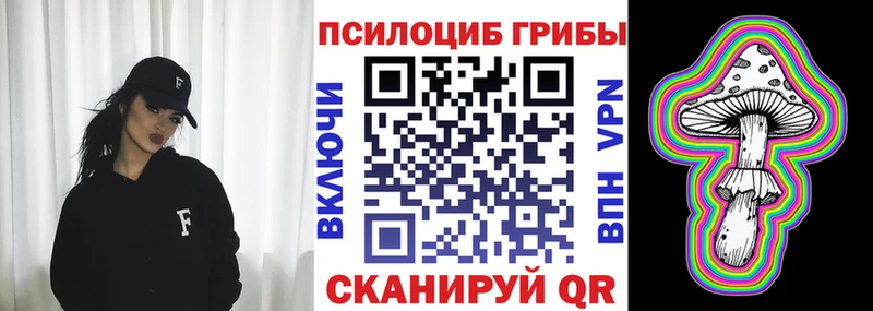 Псилоцибиновые грибы Cubensis  Купить  Ельня 