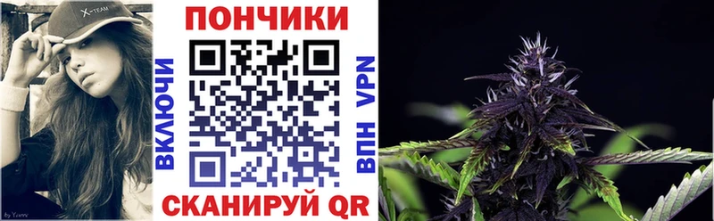 Купить где  Ельня  Бошки марихуана VHQ 